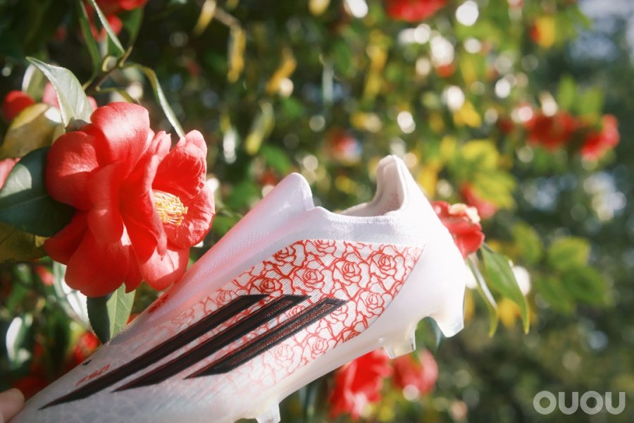 无鞋带的上限和下限过于极端