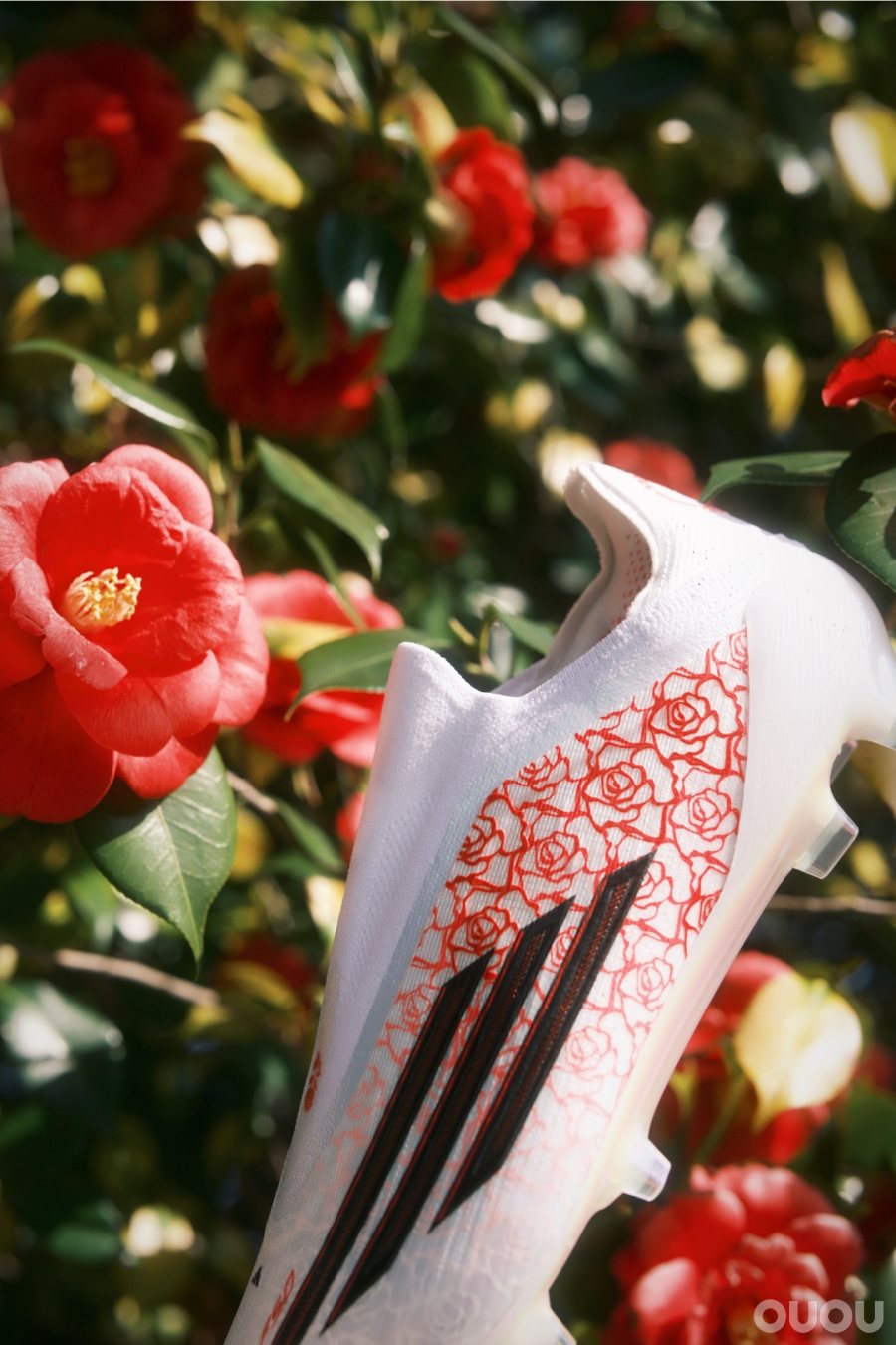 无鞋带的上限和下限过于极端