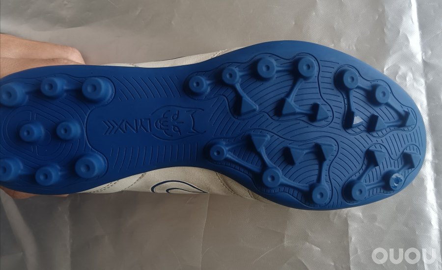 飞马猫底体验分享