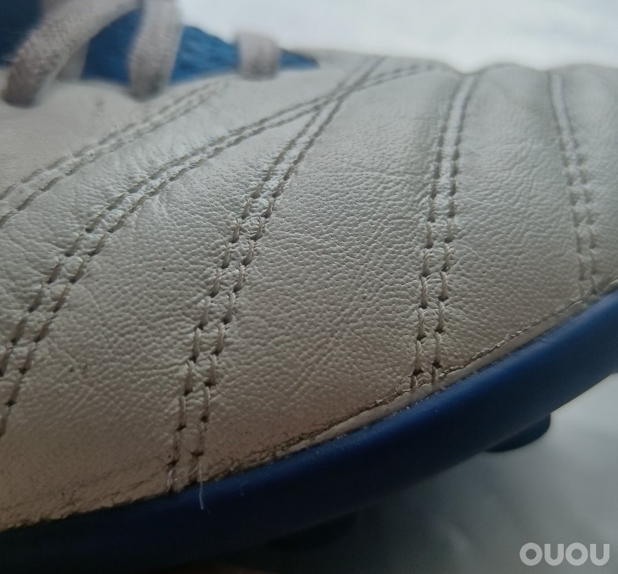 飞马猫底体验分享