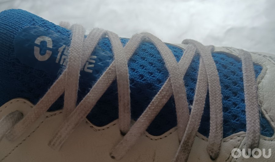 飞马猫底体验分享