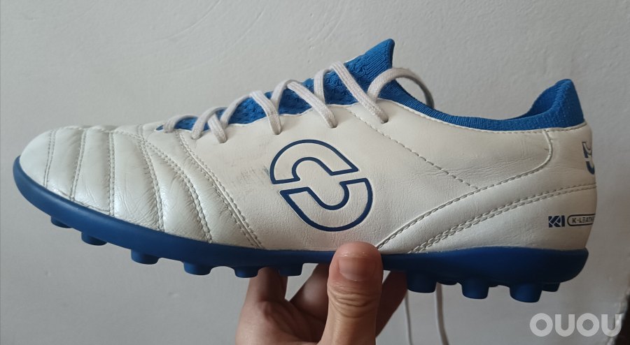 飞马猫底体验分享