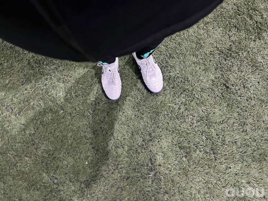 偶能mark fly飞马TF 简评