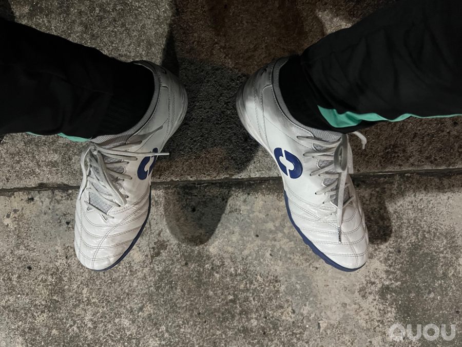 偶能mark fly飞马TF 简评