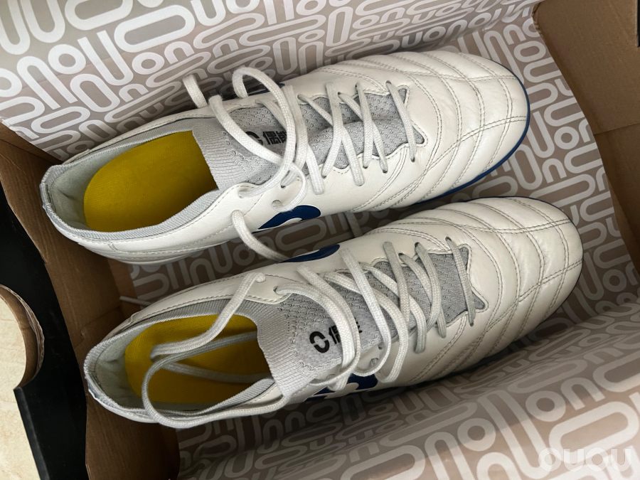 偶能mark fly飞马TF 简评