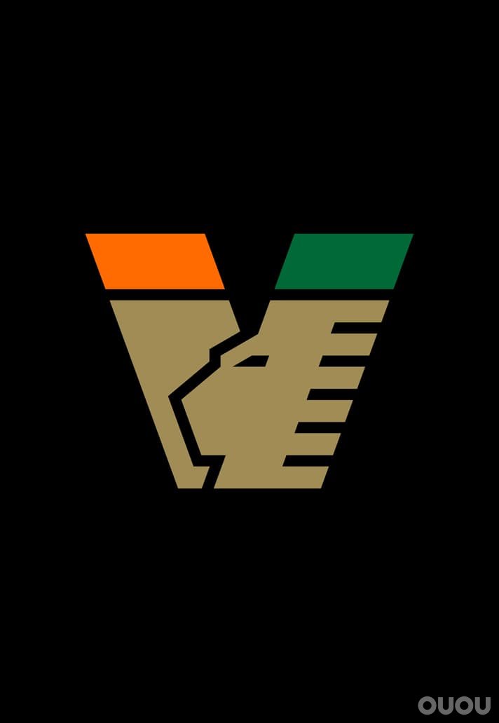 意甲威尼斯俱乐部推出全新品牌形象