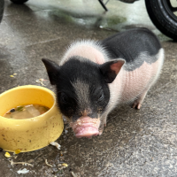 阿尔贝尔达_3390