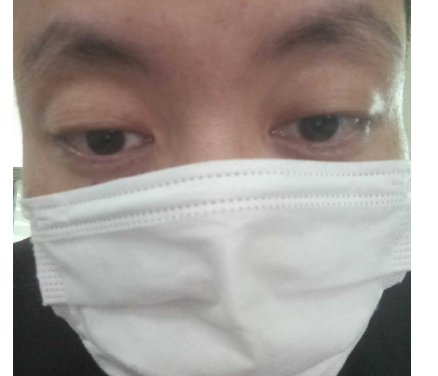 毛罗